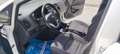 Kia Rio Rio 5p 1.2  Cool Wit - thumbnail 9