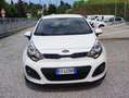 Kia Rio Rio 5p 1.2  Cool Wit - thumbnail 3