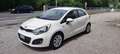 Kia Rio Rio 5p 1.2  Cool Wit - thumbnail 4