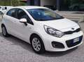 Kia Rio Rio 5p 1.2  Cool Wit - thumbnail 2