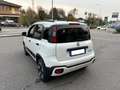 Fiat Panda Panda 1.0 Hybrid 70cv Cross Bianco - thumbnail 5
