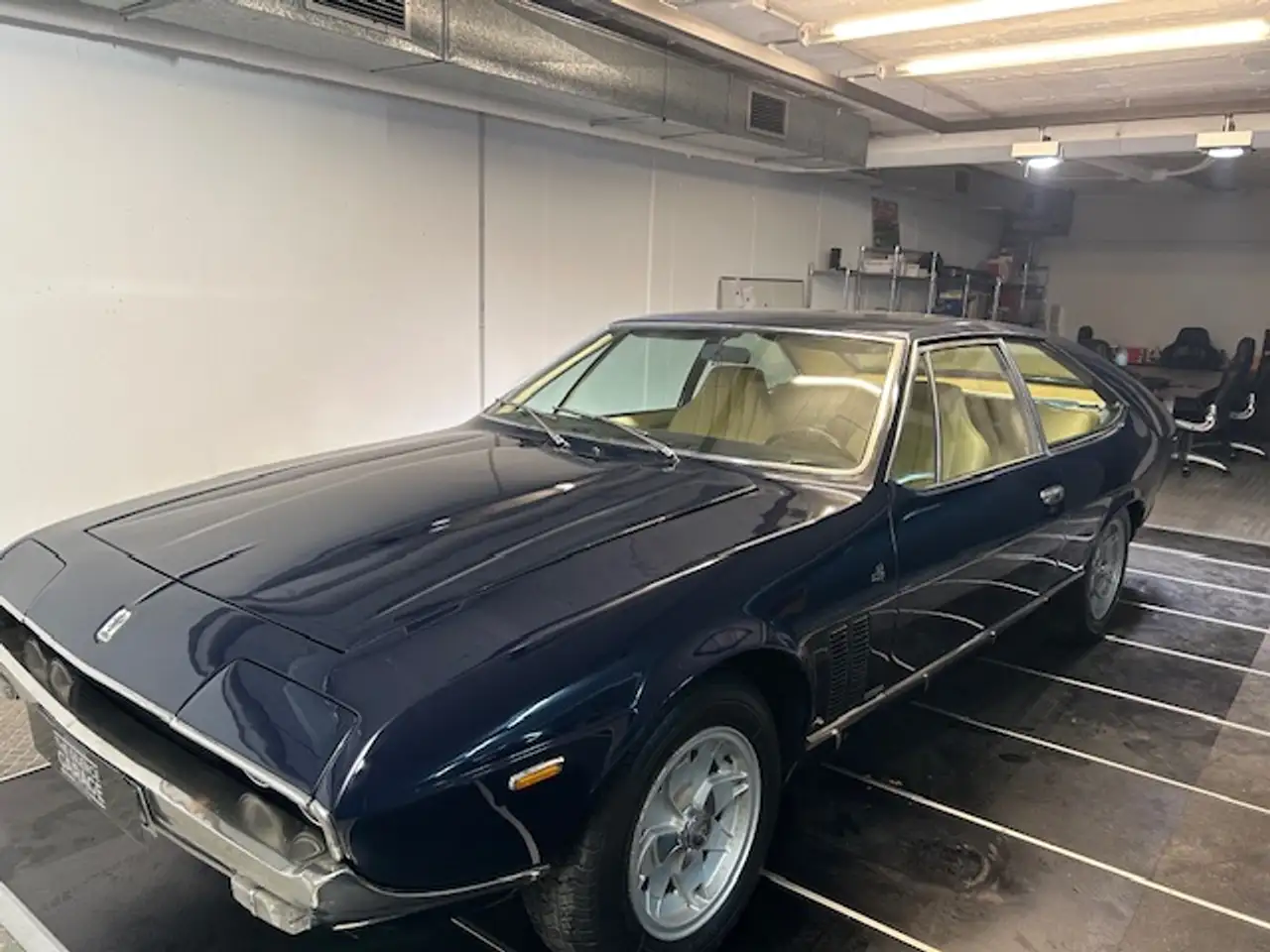 Iso Rivolta Lele, foto 7