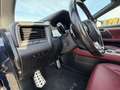 Lexus RX 450h 450h 4WD F SPORT Blau - thumbnail 18