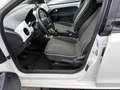 SEAT Mii 1.0 68 CV 5 porte Style Ecofuel Bianco - thumbnail 9