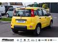 Fiat Panda Hybrid 1.0 GSE NEUES MODELL 2024 CITY TEMPOMAT PDC Gelb - thumbnail 4