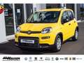 Fiat Panda Hybrid 1.0 GSE NEUES MODELL 2024 CITY TEMPOMAT PDC Gelb - thumbnail 1