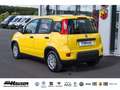 Fiat Panda Hybrid 1.0 GSE NEUES MODELL 2024 CITY TEMPOMAT PDC Gelb - thumbnail 3