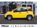 Fiat Panda Hybrid 1.0 GSE NEUES MODELL 2024 CITY TEMPOMAT PDC Gelb - thumbnail 2