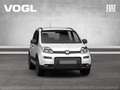 Fiat Panda Hybrid 1.0 GSE 70PS Weiß - thumbnail 8