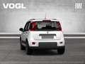 Fiat Panda Hybrid 1.0 GSE 70PS Weiß - thumbnail 5