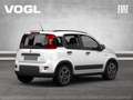 Fiat Panda Hybrid 1.0 GSE 70PS Weiß - thumbnail 2
