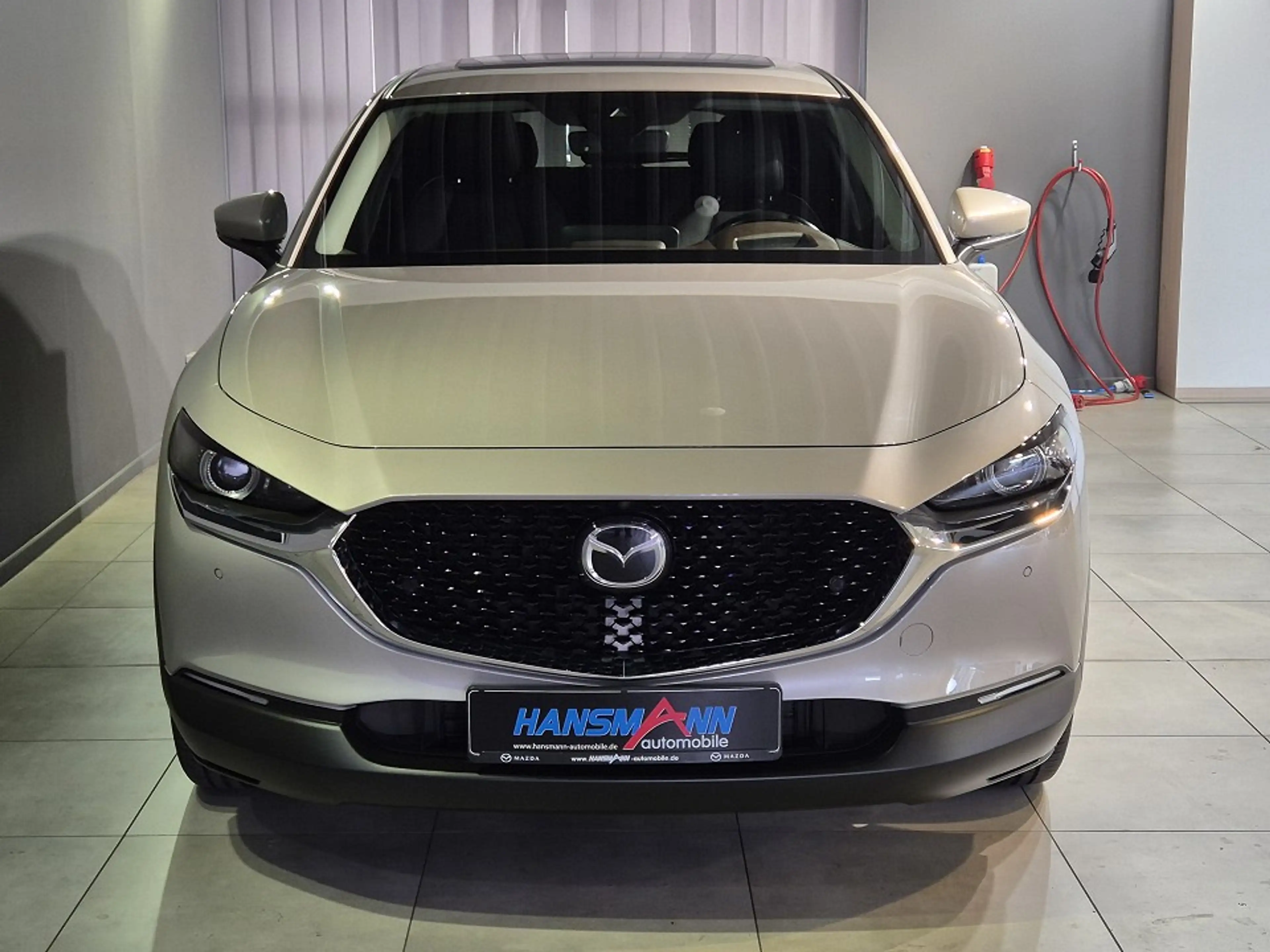 Mazda CX-30 Selection X-186/6AT/Leder/GSD/360 Grad Cam/Matrix- — photo 2
