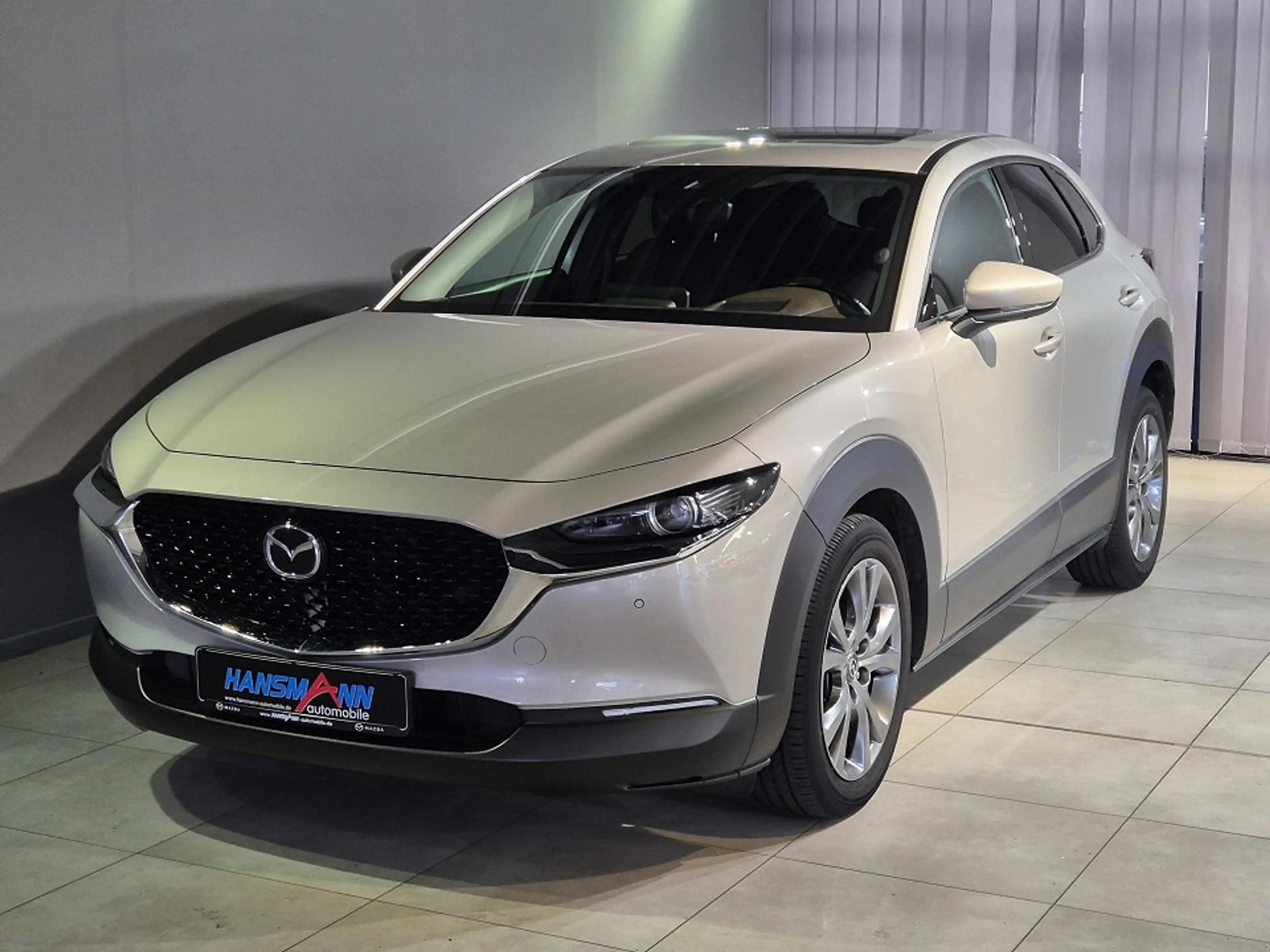 Mazda CX-30 Selection X-186/6AT/Leder/GSD/360 Grad Cam/Matrix-