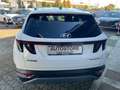Hyundai TUCSON Tucson 1.6 FULL HYBRID ELETTRICO/DIESEL 136 cv Bianco - thumbnail 4
