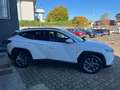 Hyundai TUCSON Tucson 1.6 FULL HYBRID ELETTRICO/DIESEL 136 cv Bianco - thumbnail 3