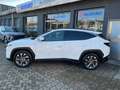 Hyundai TUCSON Tucson 1.6 FULL HYBRID ELETTRICO/DIESEL 136 cv Bianco - thumbnail 5