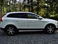 Volvo XC60 XC60 D4 AWD Geartronic Kinetic Weiß - thumbnail 1