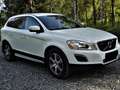 Volvo XC60 XC60 D4 AWD Geartronic Kinetic Weiß - thumbnail 4