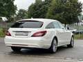 Mercedes-Benz CLS 250 CLS 250 BlueTec / d (218.904) Blanc - thumbnail 5