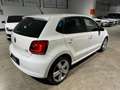 Volkswagen Polo 1.6 TDI 90CV DPF 5 porte R-Line Bianco - thumbnail 6