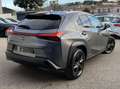 Lexus UX 250h 250H 2WD LUXE MY21 Gri - thumbnail 4