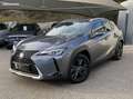 Lexus UX 250h 250H 2WD LUXE MY21 Gri - thumbnail 2