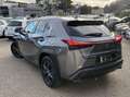 Lexus UX 250h 250H 2WD LUXE MY21 Gri - thumbnail 3