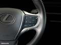 Lexus UX 250h 250H 2WD LUXE MY21 Gri - thumbnail 18