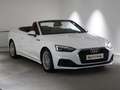 Audi A5 A5 Cabriolet 35 TFSI, 2023 Weiß - thumbnail 7