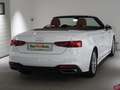 Audi A5 A5 Cabriolet 35 TFSI, 2023 Weiß - thumbnail 12