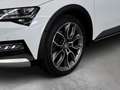Skoda Superb Scout 4x4 2,0 TDI - AHK, ACC, DCC, Standheizung Bianco - thumbnail 8