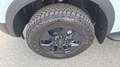Ford Ranger Ranger Doppelkabine Chill Grey 4WD 2.3PHEV Aut. Grau - thumbnail 8
