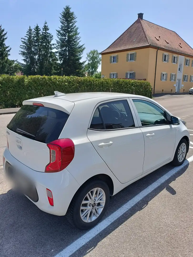 Kia Picanto 1.2 Navi, Klimaautom, SHZ, Kamera,Garantie, Vision Weiß - 2