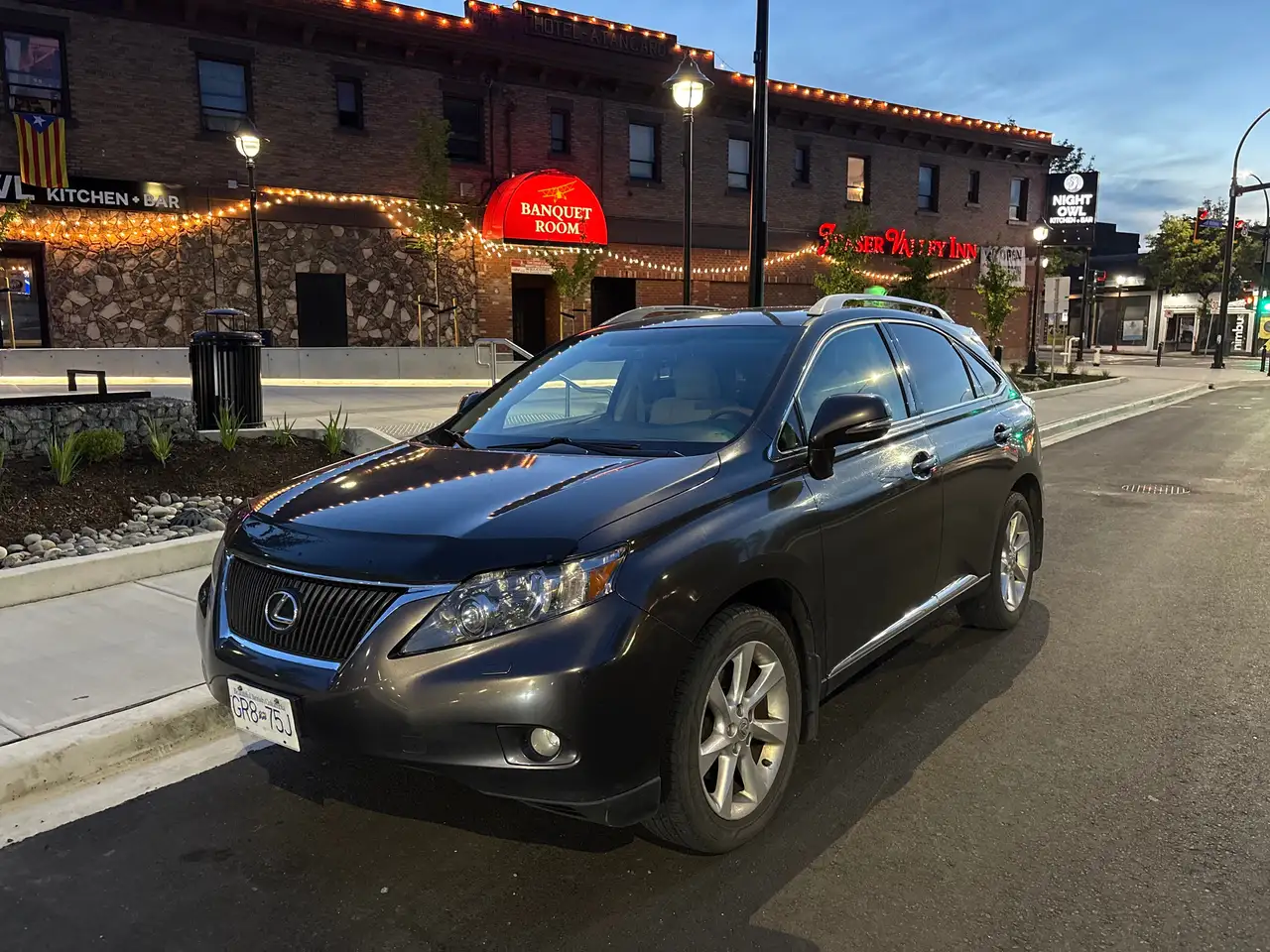 2010 Lexus RX