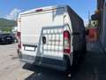 Fiat Ducato 2.3 multijet 120cv Bianco - thumbnail 3