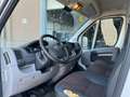 Fiat Ducato 2.3 multijet 120cv Bianco - thumbnail 7
