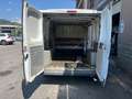 Fiat Ducato 2.3 multijet 120cv Bianco - thumbnail 13