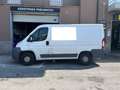 Fiat Ducato 2.3 multijet 120cv Bianco - thumbnail 5