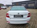 Skoda Octavia Lim. Ambition*PDC*SHZ*Top* Blanco - thumbnail 4