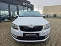 Skoda Octavia Lim. Ambition*PDC*SHZ*Top* Blanco - thumbnail 8