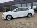 Skoda Octavia Lim. Ambition*PDC*SHZ*Top* Blanco - thumbnail 11