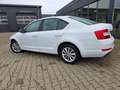 Skoda Octavia Lim. Ambition*PDC*SHZ*Top* Blanco - thumbnail 6