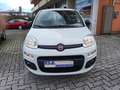 Fiat Panda 0.9 t.air t. natural power Easy 80cv Wit - thumbnail 14