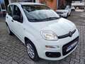 Fiat Panda 0.9 t.air t. natural power Easy 80cv Wit - thumbnail 12