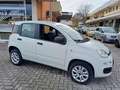 Fiat Panda 0.9 t.air t. natural power Easy 80cv Wit - thumbnail 16