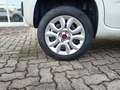 Fiat Panda 0.9 t.air t. natural power Easy 80cv Wit - thumbnail 19