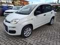 Fiat Panda 0.9 t.air t. natural power Easy 80cv Blanc - thumbnail 13