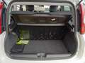 Fiat Panda 0.9 t.air t. natural power Easy 80cv Wit - thumbnail 6