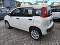Fiat Panda 0.9 t.air t. natural power Easy 80cv Wit - thumbnail 17