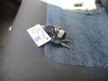 Renault Mascott 2.8 TDI 130CV MOTORE IVECO FURGONE LEGA 5 METRI Giallo - thumbnail 12